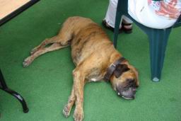 Resize of DSC04895.JPG